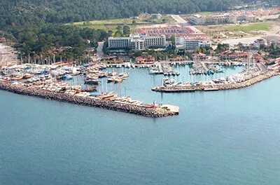 Yalova Psikolog